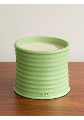 LOEWE Perfumes - Cucumber Medium Scented Candle, 610g - Men - Green
