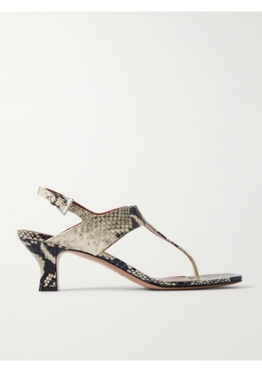 Paris Texas - Portofino Snake-effect Leather Sandals - Animal print - IT35,IT35.5,IT36,IT36.5,IT37,IT37.5,IT38,IT38.5,IT39,IT39.5,IT40,IT40.5,IT41,IT41.5,IT42