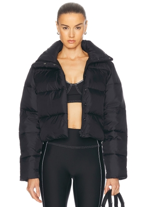 alo Gold Rush Puffer Jacket in Black - Black. Size L (also in ).