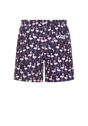 Trunks Surf & Swim Co. Sano 6.5 Swim Short in Purple. Size L. Also in M, S.