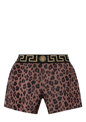 Versace Greca detailing swim shorts - Brown
