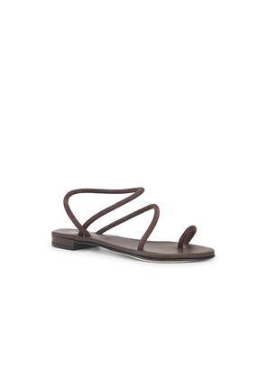 CoRNETTI Romelide Sandal in Chocolate. Size 37. Also in 38.