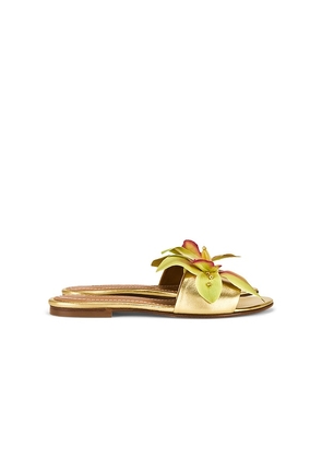 Alameda Turquesa Martha Sandal in Metallic Gold, yellow. Size 36. Also in 37, 38.