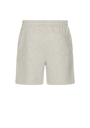 FLANEUR Blossom Shorts in Grey. Size L. Also in M, XL/1X.