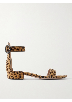 Gianvito Rossi - Portofino 20 Leopard-print Pony Hair Sandals - Animal print - IT36,IT36.5,IT37,IT37.5,IT38,IT38.5,IT39,IT39.5,IT40,IT40.5,IT41,IT41.5,IT42