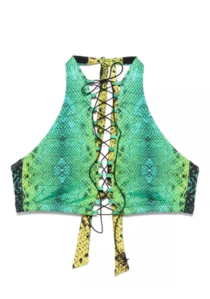 Noire Swimwear snake-print bikini top - Green