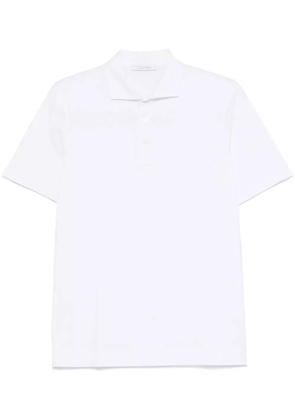 Cruciani cutaway-collar polo shirt - White