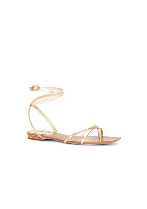 Veronica Beard Allegra Sandal in Metallic Gold. Size 5.5. Also in 6, 6.5, 7, 8.