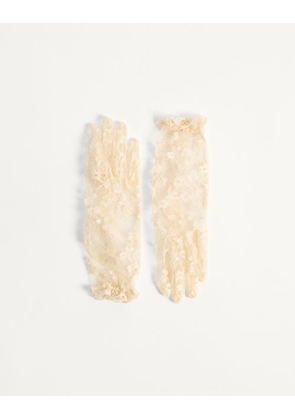 Valentino Garavani VLOGO SIGNATURE LACE GLOVES Woman BUTTER/GOLD 6