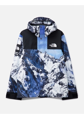 THE NORTH FACE MOUNTAIN PARKA