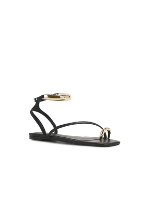 Steve Madden Odyssey Sandal in Black. Size 8. Also in 10, 6, 6.5, 7.5, 8.5, 9.5.