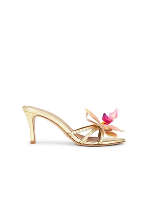 Alameda Turquesa Cecily Heel in Metallic Gold. Size 37. Also in 36.