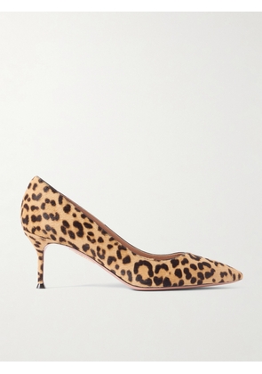 Aquazzura - Purist 65 Leopard-print Calf Hair Pumps - Animal print - IT36,IT36.5,IT37,IT37.5,IT38,IT38.5,IT39,IT39.5,IT40,IT40.5,IT41,IT41.5,IT42