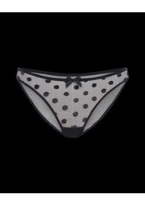 Camsen Full Brief