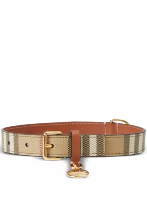 Burberry medium Vintage Check dog collar - Neutrals