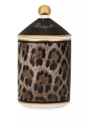 Dolce & Gabbana porcelain patchouli scented candle - Brown