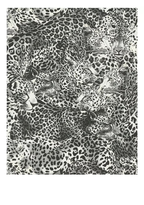 Dolce & Gabbana leopard-print wallpaper - Black