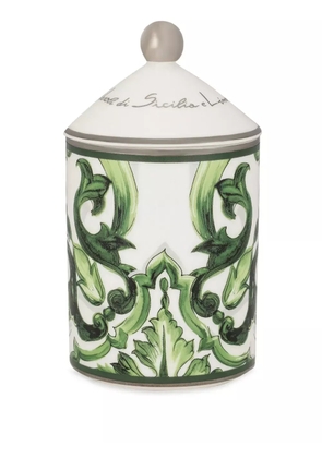 Dolce & Gabbana porcelain scented candle - Green