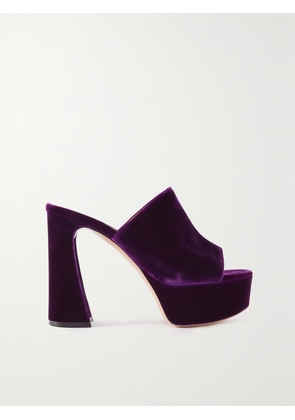 Gianvito Rossi - Holly 70 Velvet Platform Mules - Purple - IT35,IT35.5,IT36,IT36.5,IT37,IT37.5,IT38,IT38.5,IT39,IT39.5,IT40,IT40.5,IT41,IT41.5,IT42