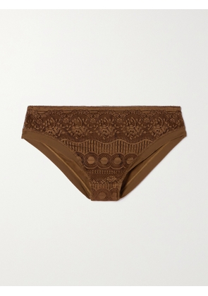 Eres - Flore Glycine Lace And Stretch-jersey Briefs - Brown - FR 36,FR 38,FR 40,FR 42,FR 44
