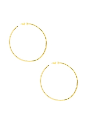 BRACHA Wildside Hoops in Metallic Gold.