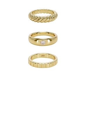 MEGA Ring Stack in Metallic Gold. Size 5. Also in 6, 7, 8.