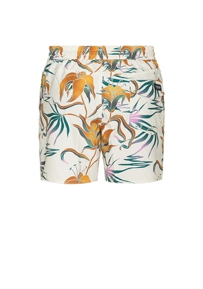 Volcom Lido Printed Swim Trunks in White. Size L. Also in M, S, XL/1X.