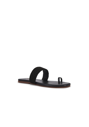 Kaanas Banderas Sandal in Black. Size 11. Also in 5.