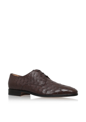 Stemar Ostrich Derby Shoes