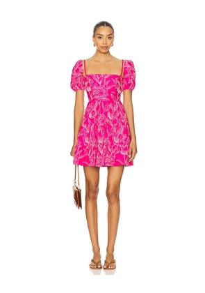 Maaji Emilia Dress in Pink. Size L. Also in M, S.