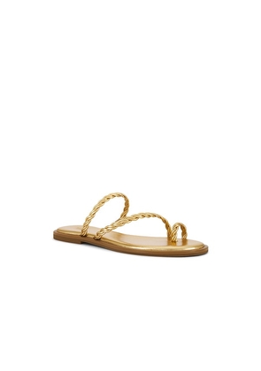PAIGE Allegra Sandal in Metallic Gold, yellow. Size 6. Also in 6.5, 7, 9.