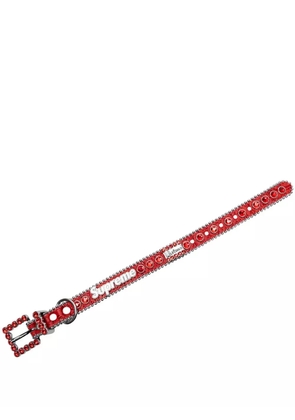 Supreme B.B. Simon studded dog collar - Red