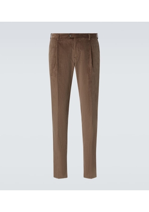 Lardini Cotton corduroy suit pants