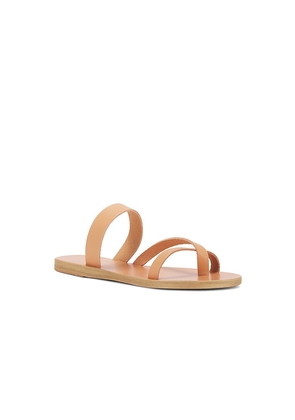 Ancient Greek Sandals Daphnae Sandal in Neutral. Size 36. Also in 42.