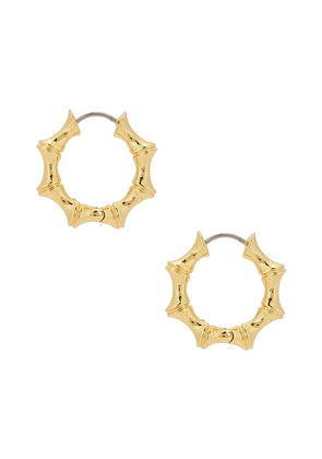 Eddie Borgo Bambu Hoops in Metallic Gold.
