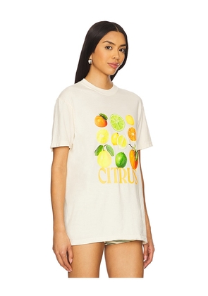 Polychrome Goods The Citrus Tee in Ivory. Size L. Also in M, S, XL.