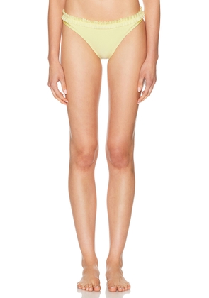 Solid & Striped The Cassidy Bottom in Custard - Yellow. Size L (also in M, S, XS).