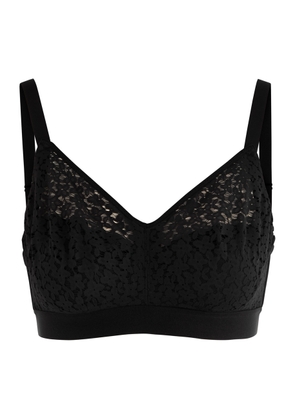 Chantelle Norah Lace Bralette - Black - 32F