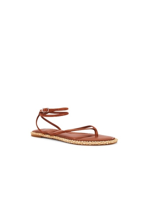 Dolce Vita Cove Sandal in Brown. Size 10. Also in 6, 6.5, 7, 7.5, 8, 8.5, 9, 9.5.