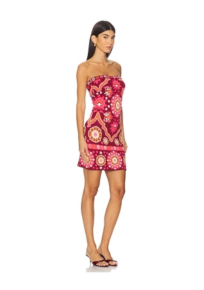 Cara Cara Rome Mini Dress in Red. Size L. Also in S, XL, XS, XXS.