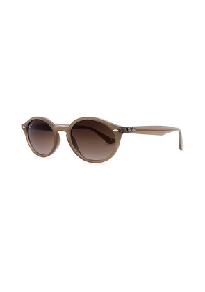 Ray-Ban Oval Sunglasses in Brown.