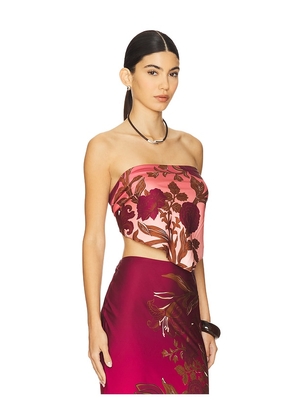 ROCOCO SAND Scarf Top in Burgundy,Blush. Size S. Also in M, XL, XS, XXS.