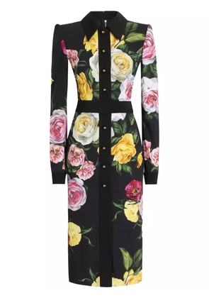 Dolce & Gabbana floral-print shirtdress - Black