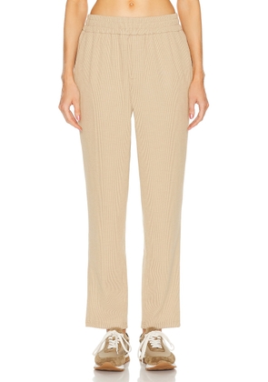 WAO Ribbed Knit Pant in tan - Brown. Size L (also in ).