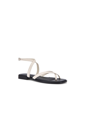PAIGE Reese Sandal in Ivory. Size 6. Also in 6.5, 7.5, 8, 8.5, 9.