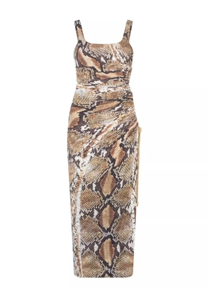Roberto Cavalli python-print midi dress - Brown