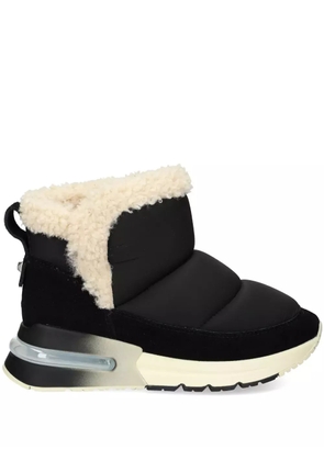 Ash Koala ankle boots - Black