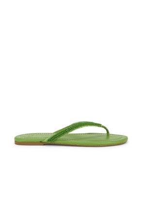 Staud Freja Thong Sandal in Meadow - Green. Size 37 (also in 36, 38, 40, 41).