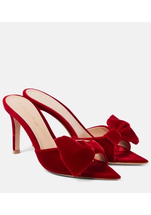 Gianvito Rossi 85 bow-detail velvet mules