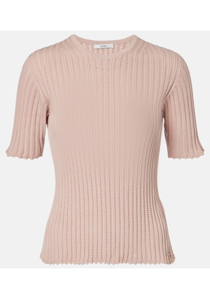 Erdem Pointelle cotton top